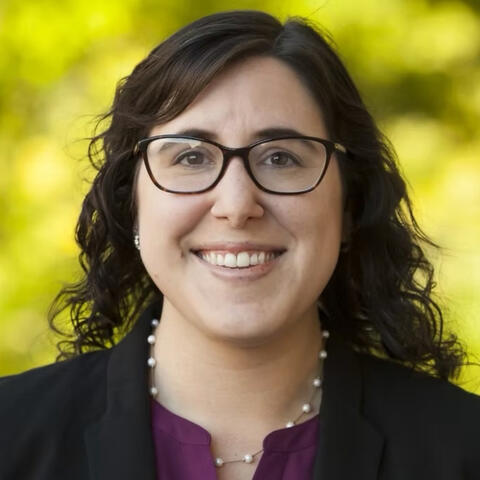Megan L. Zahay